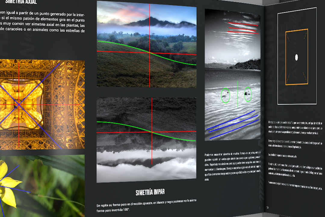 pagina del libro composicion de paisajes, simetrias del lenguaje visual