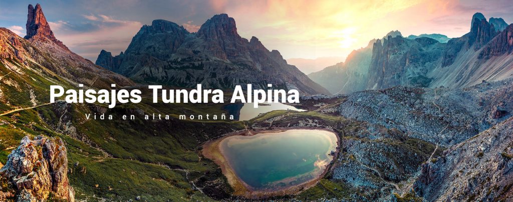 Cover de la categoria de paisaje de tundra alpina con una foto de montañas de los alpes suizos.