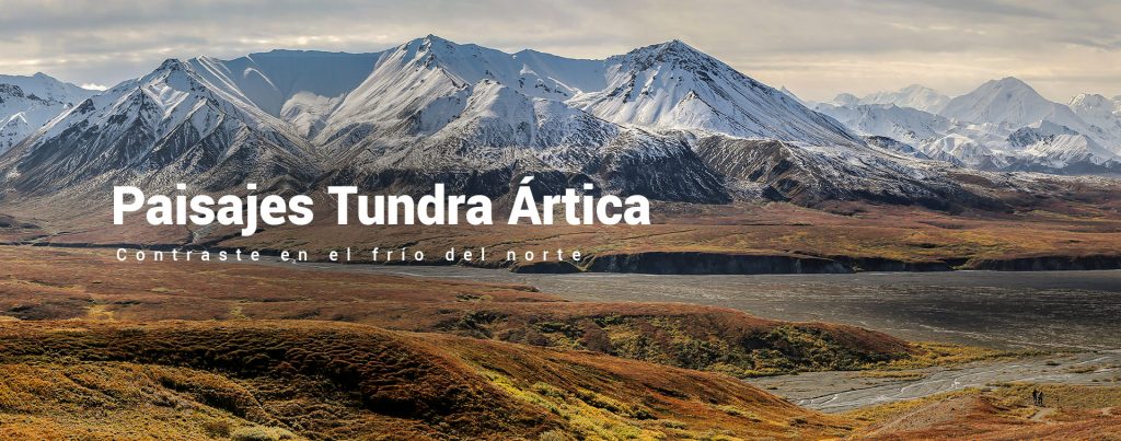 cover para la categoria de paisajes de tundra artica