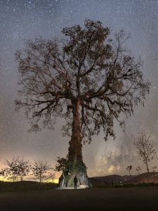 La silueta del fotografo de paisaje Randall Madrigal frente a un enorme ceiba en medio de la noche estrellada y la vía lactea e, Pejibaye de Cartago, Costa Rica.