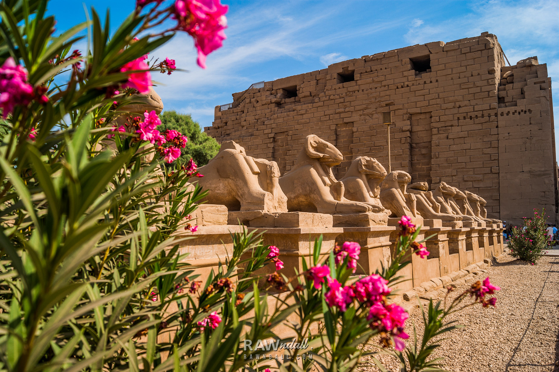 Paisaje desertico del palacio de Luxor en Egipto.