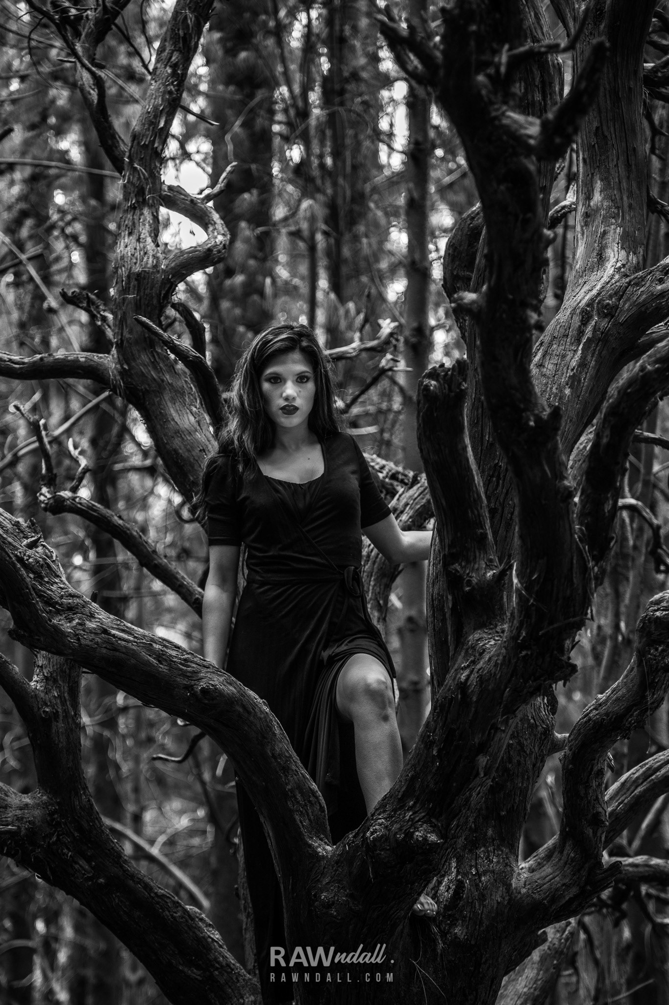Mujer entre un árbol embrujado en Costa Rica.